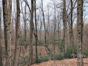 00 Melrose Mountain Road 508 sold home in Tryon, SC