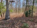 Lo 38 Panther Run sold home in Brevard, SC