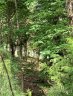 6881 Pine Moss Lane sold home in Clover, SC