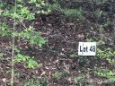 263 Falling Leaves Lane sold home in Hendersonville, SC