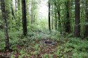 0 Birch Lane 32 sold home in Rosman, SC