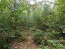 00 Maple Spring Court Lot#16 sold home in Denver, SC