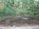 193 Windingwood Drive sold home in Statesville, SC