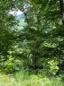 Lot 19 Flowing Hills Drive sold home in Clyde, SC