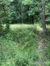 475 Museum Road sold home in Rock Hill, SC