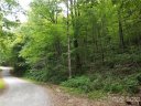 Lot 340 Melrose Mountain Road sold home in Tryon, SC