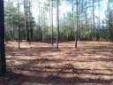 110 Rivercliff Drive 32 sold home in Connelly Springs, SC