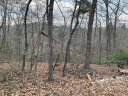 301 Otter Lane sold home in Lake Lure, SC