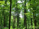 Track 2 Miller Mountain Road sold home in Saluda, SC