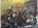 000 Hickory Point Court sold home in Statesville, SC