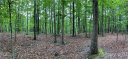 75 Wild Turkey Loop 31 sold home in Marshall, SC
