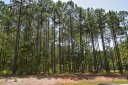 117 Trent Pines Drive sold home in Mooresville, SC
