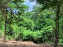 85 View Ridge Parkway sold home in Leicester, SC