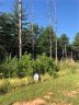 73 N Slope Drive 31 sold home in Nebo, SC