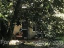 5 Pine Tree Road sold home in Asheville, SC