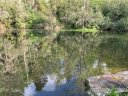 999 Laurel Thicket Drive 84R sold home in Brevard, SC