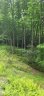 9999 Whitetail Trail T133A sold home in Rosman, SC