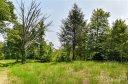 421 The Vines Boulevard 16 sold home in Marshall, SC