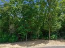 1126 Mills River Way 48 sold home in Horse Shoe, SC