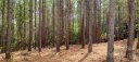 485 Stewart Rock Road sold home in Stony Point, SC