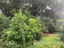 325 Neal Drive sold home in Charlotte, SC