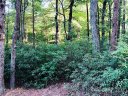 162 Hilltop Court sold home in Lake Lure, SC