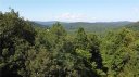 0 Wild Magnolia Way 48 sold home in Zirconia, SC