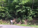 Tbd School House Drive 15 sold home in Pisgah Forest, SC