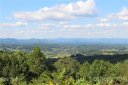11 Farm Cove Lane sold home in Leicester, SC