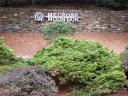 00 Summit Road 342 sold home in Tryon, SC