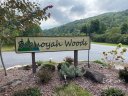 Lot 9 Galax Lane sold home in Brevard, SC