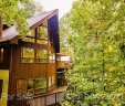 16 Covewood Road sold home in Asheville, SC