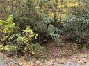 00 Waggoners Way sold home in Saluda, SC