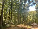 0 S Poplar Drive 165 sold home in Lake Lure, SC