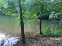 Lot 81 Brightwood Court sold home in Norwood, SC