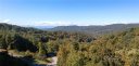 9 Longspur Lane 55 sold home in Asheville, SC