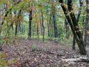 0 Red Mulberry Drive 64-R2 sold home in Zirconia, SC