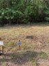 Lot 1 2 Trade Mill Court sold home in Winnsboro, SC