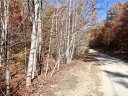 Lot 45 N Haven Ridge Lane sold home in Marion, SC