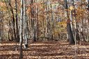 0 Wilderness Ridge sold home in Rutherfordton, SC
