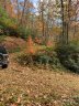 123 Grandpa Lane sold home in Maggie Valley, SC