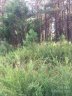0 Moore Mountain Lane 3 sold home in Ellenboro, SC