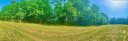 104 Ryleigh Dan Place 29 sold home in Mooresville, SC