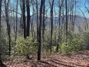 0000 Laurel Thicket None 100/101 sold home in Brevard, SC