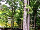5716 Griffin Point sold home in Clover, SC