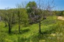 502 Wilma Dykeman Trail 89 sold home in Asheville, SC