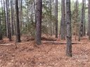 6187 Plantation Pointe Drive 27 sold home in Granite Falls, SC
