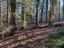 Lot 72 Mary Place sold home in Flat Rock, SC