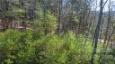 99900 Trellem Trail 10 sold home in Hendersonville, SC