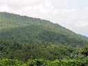 0 Rainbow Trout Drive sold home in Spruce Pine, SC